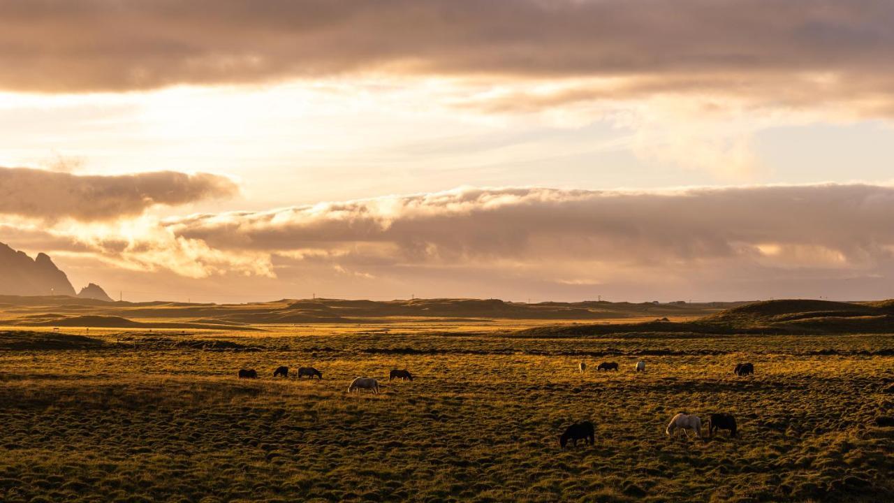 Arnanes Country Hotel Höfn Екстериор снимка